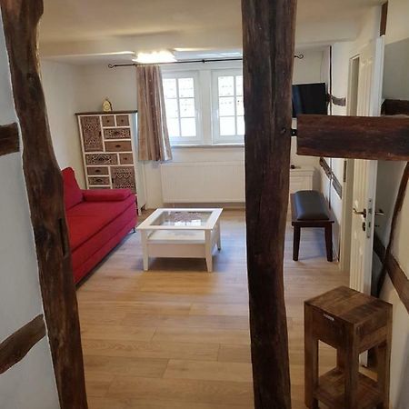 Zauberhafte Wohnung In Der Naehe Von Heidelberg, Top Lage Hirschhorn Εξωτερικό φωτογραφία