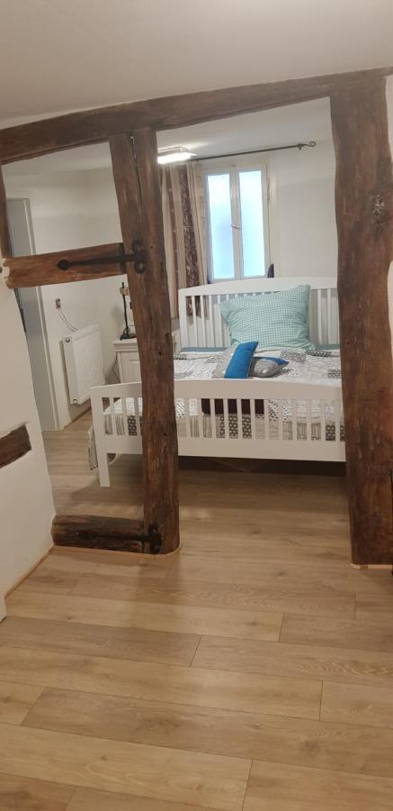 Zauberhafte Wohnung In Der Naehe Von Heidelberg, Top Lage Hirschhorn Εξωτερικό φωτογραφία