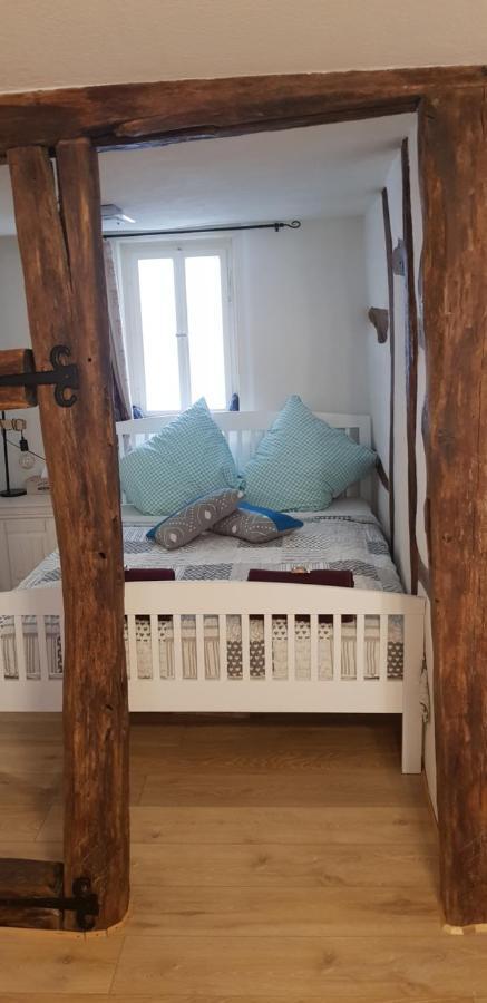 Zauberhafte Wohnung In Der Naehe Von Heidelberg, Top Lage Hirschhorn Εξωτερικό φωτογραφία