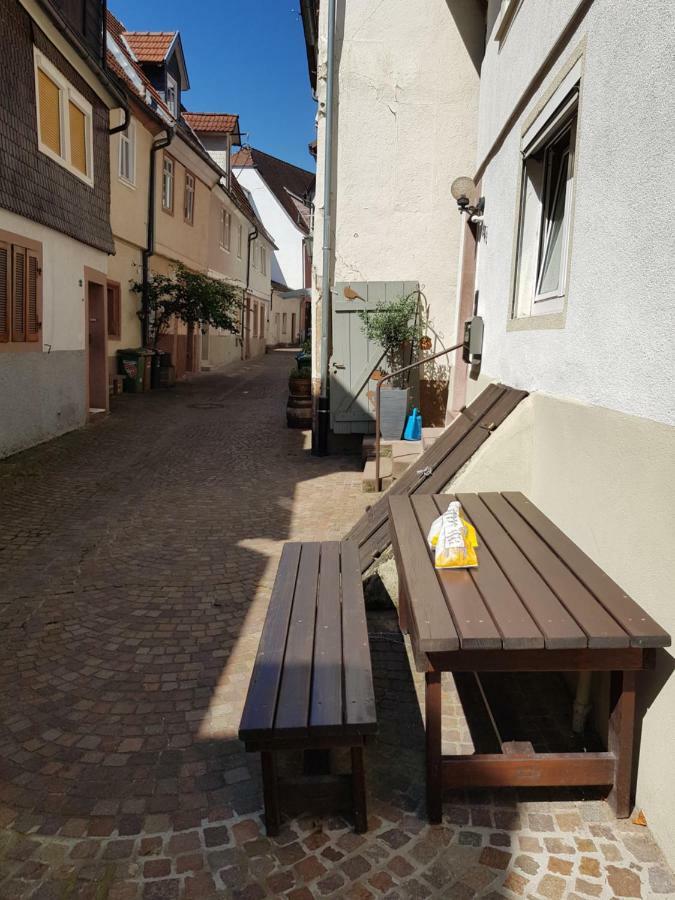 Zauberhafte Wohnung In Der Naehe Von Heidelberg, Top Lage Hirschhorn Εξωτερικό φωτογραφία
