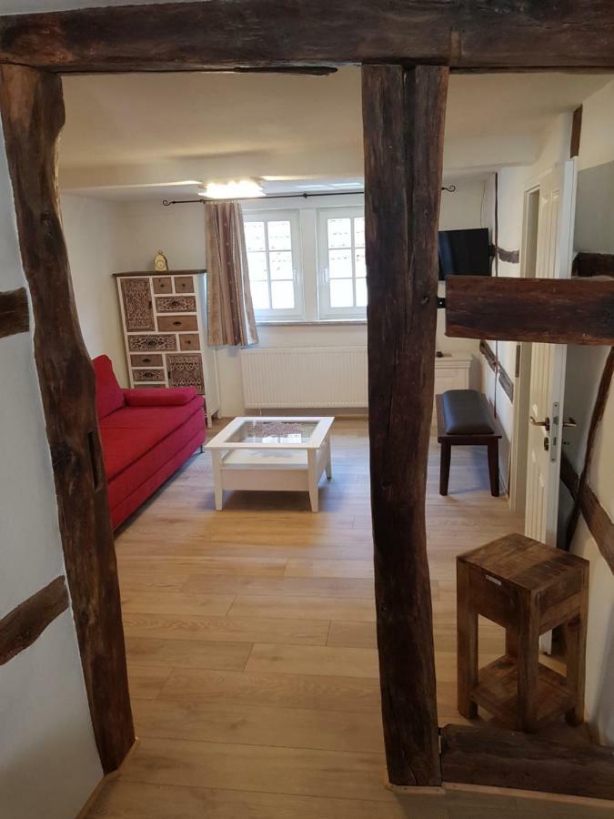 Zauberhafte Wohnung In Der Naehe Von Heidelberg, Top Lage Hirschhorn Εξωτερικό φωτογραφία
