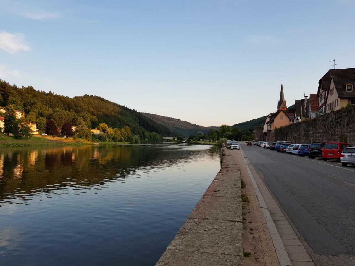 Zauberhafte Wohnung In Der Naehe Von Heidelberg, Top Lage Hirschhorn Εξωτερικό φωτογραφία