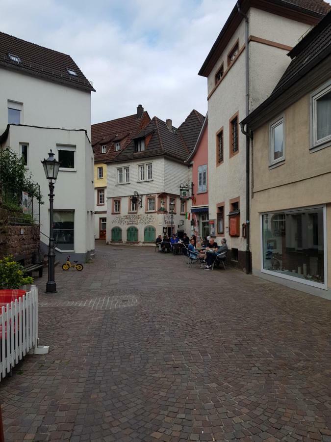 Zauberhafte Wohnung In Der Naehe Von Heidelberg, Top Lage Hirschhorn Εξωτερικό φωτογραφία
