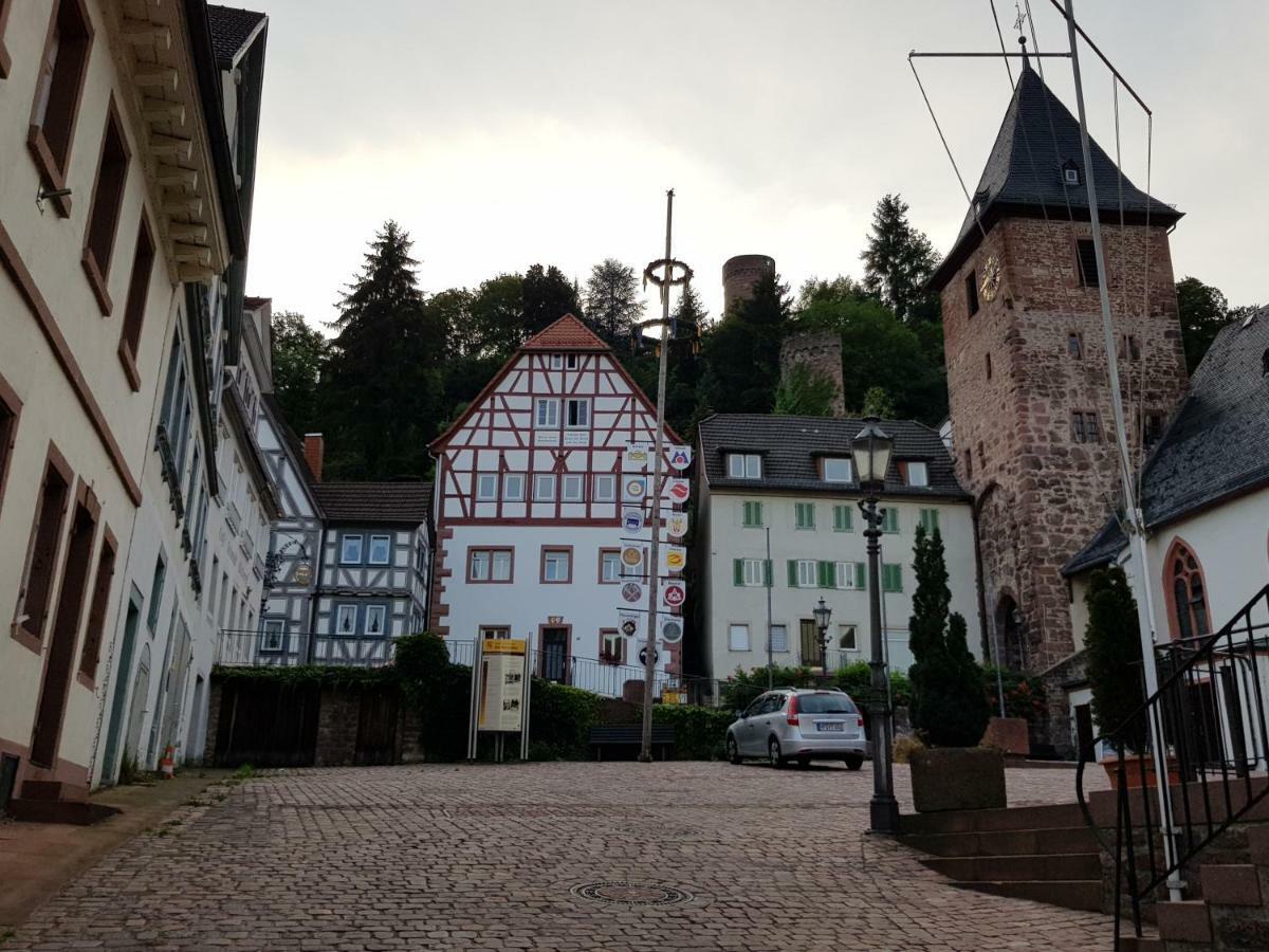 Zauberhafte Wohnung In Der Naehe Von Heidelberg, Top Lage Hirschhorn Εξωτερικό φωτογραφία