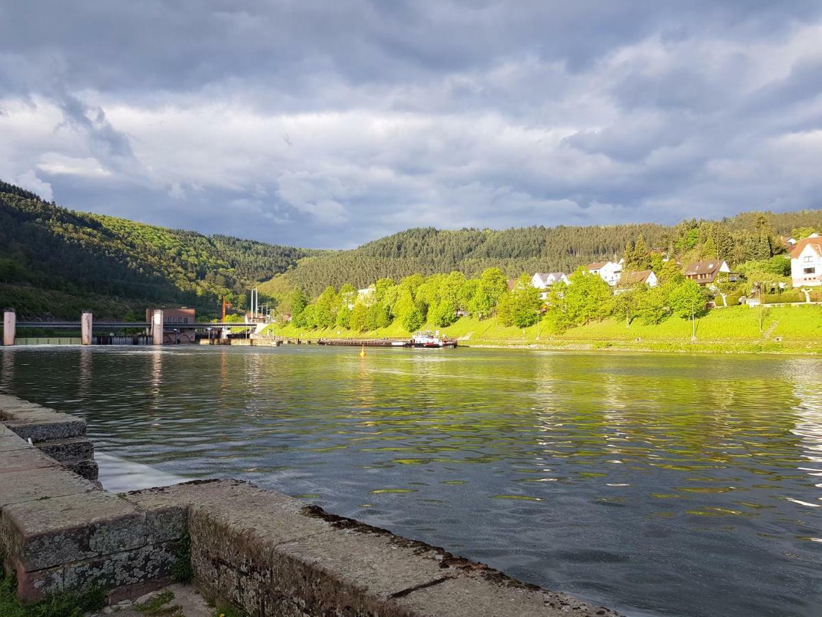 Zauberhafte Wohnung In Der Naehe Von Heidelberg, Top Lage Hirschhorn Εξωτερικό φωτογραφία
