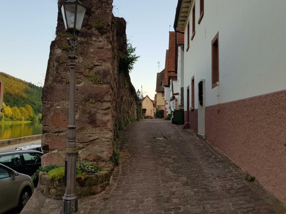 Zauberhafte Wohnung In Der Naehe Von Heidelberg, Top Lage Hirschhorn Εξωτερικό φωτογραφία