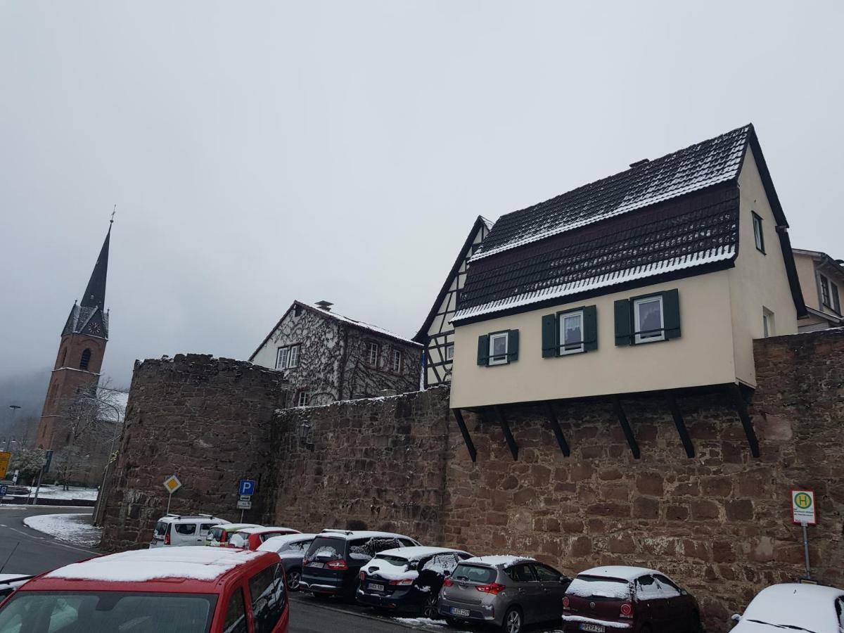 Zauberhafte Wohnung In Der Naehe Von Heidelberg, Top Lage Hirschhorn Εξωτερικό φωτογραφία