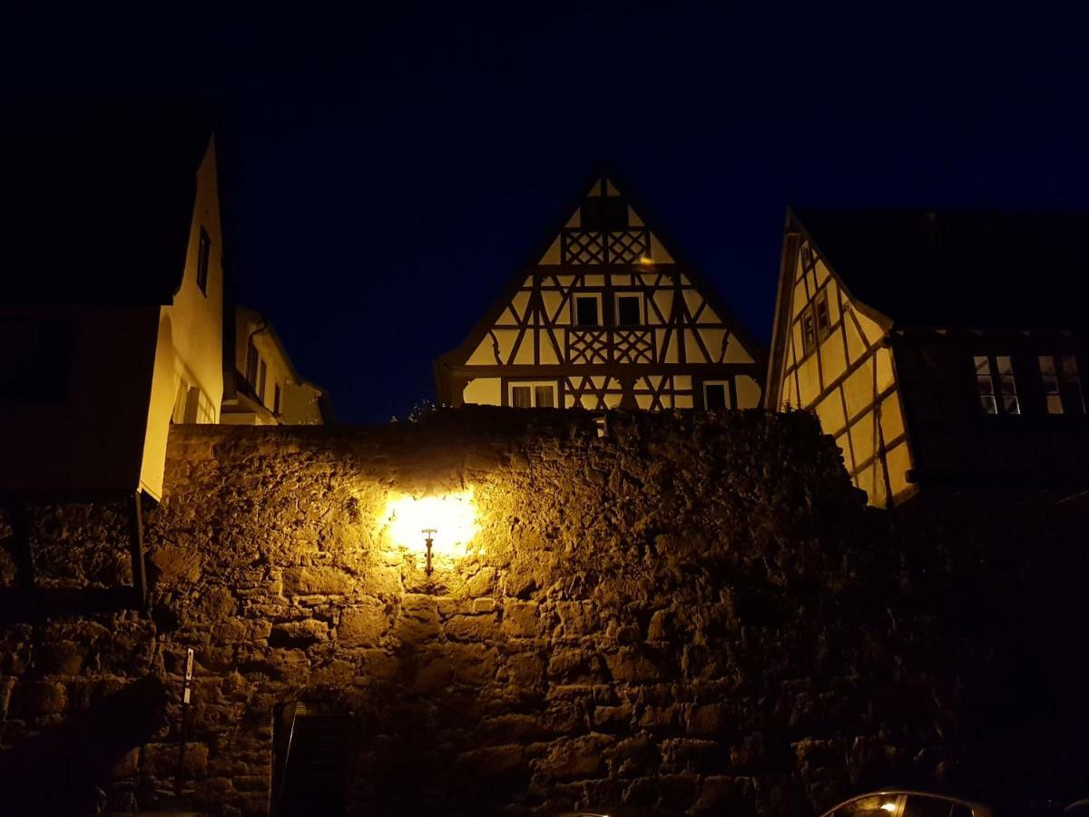 Zauberhafte Wohnung In Der Naehe Von Heidelberg, Top Lage Hirschhorn Εξωτερικό φωτογραφία