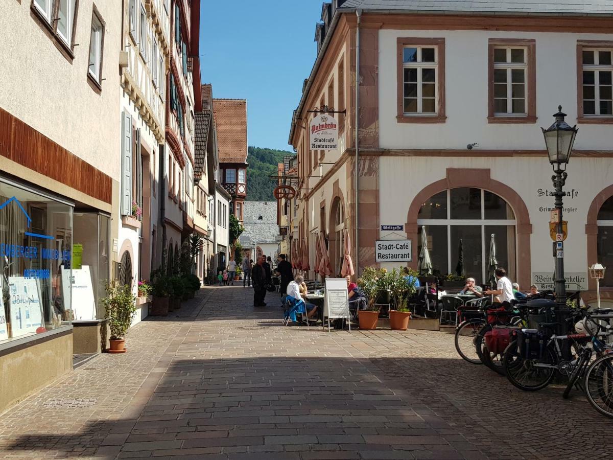 Zauberhafte Wohnung In Der Naehe Von Heidelberg, Top Lage Hirschhorn Εξωτερικό φωτογραφία