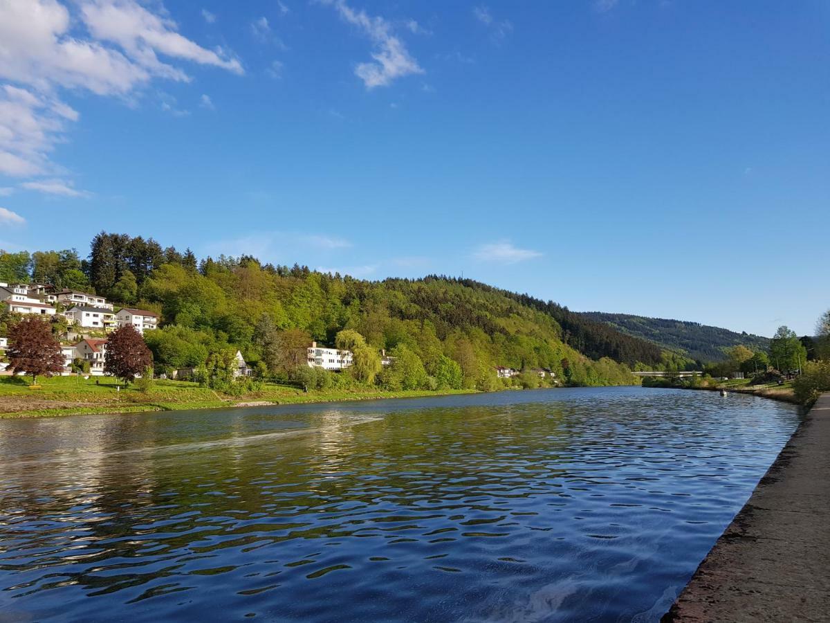 Zauberhafte Wohnung In Der Naehe Von Heidelberg, Top Lage Hirschhorn Εξωτερικό φωτογραφία