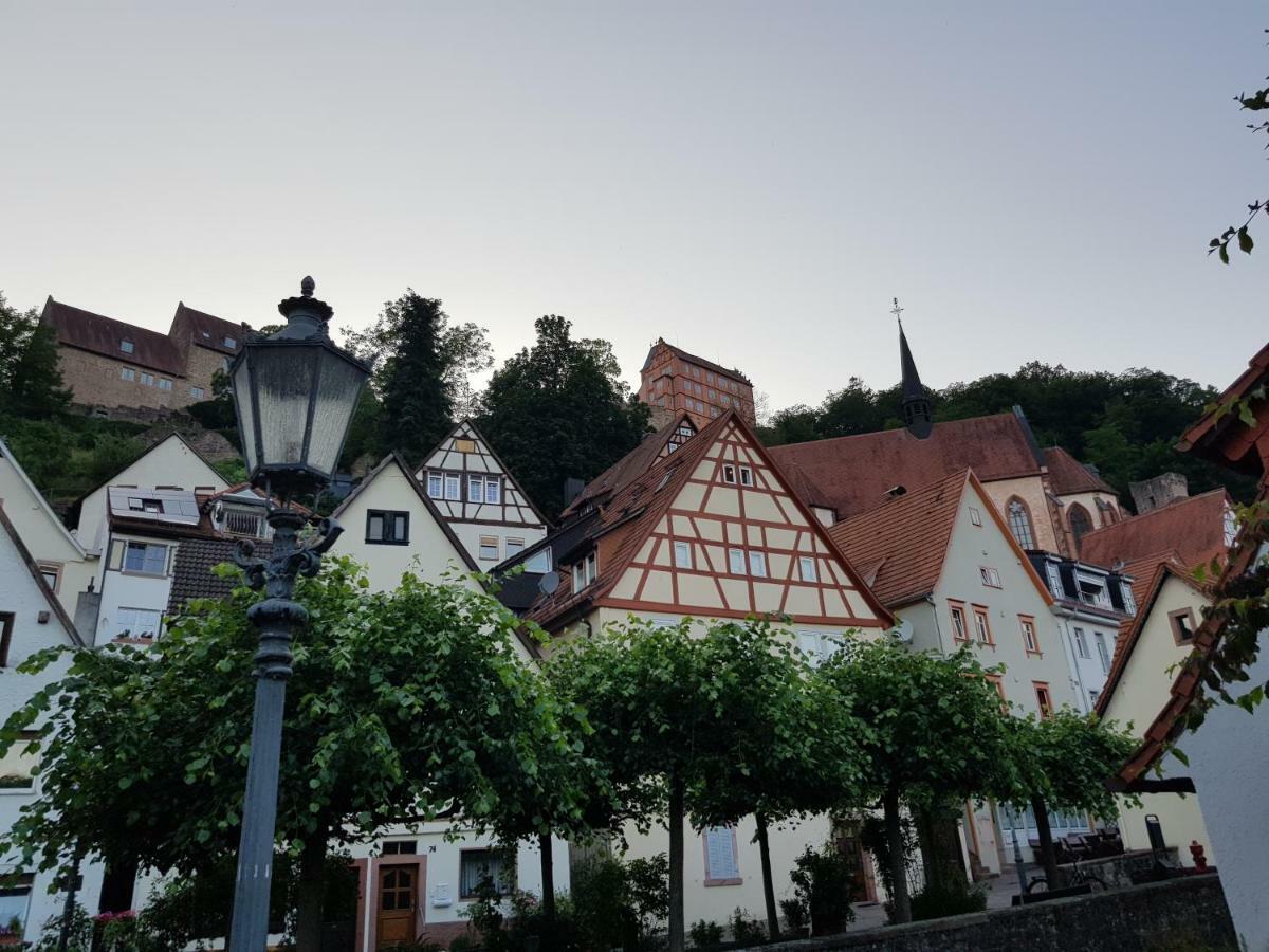 Zauberhafte Wohnung In Der Naehe Von Heidelberg, Top Lage Hirschhorn Εξωτερικό φωτογραφία