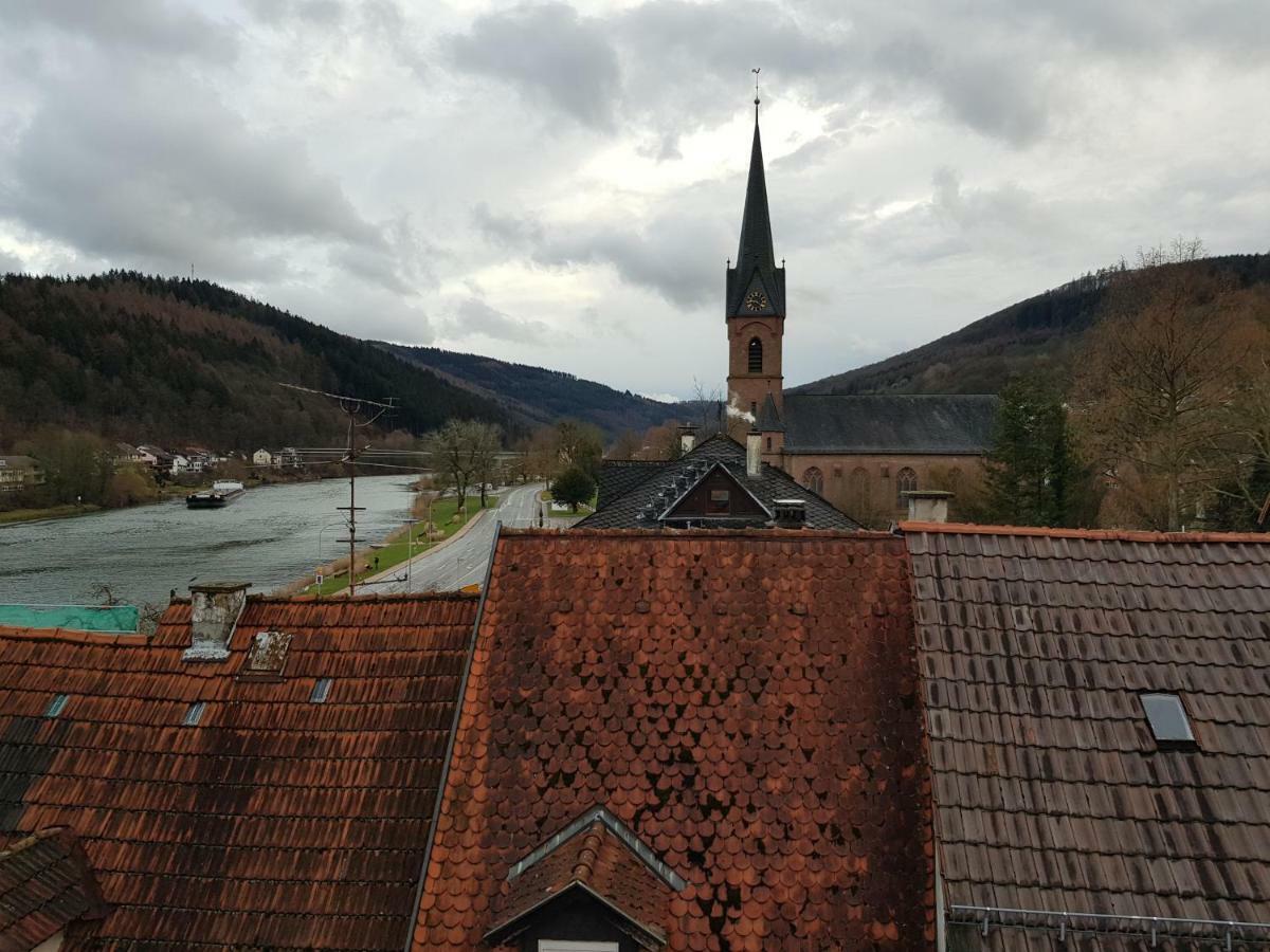Zauberhafte Wohnung In Der Naehe Von Heidelberg, Top Lage Hirschhorn Εξωτερικό φωτογραφία