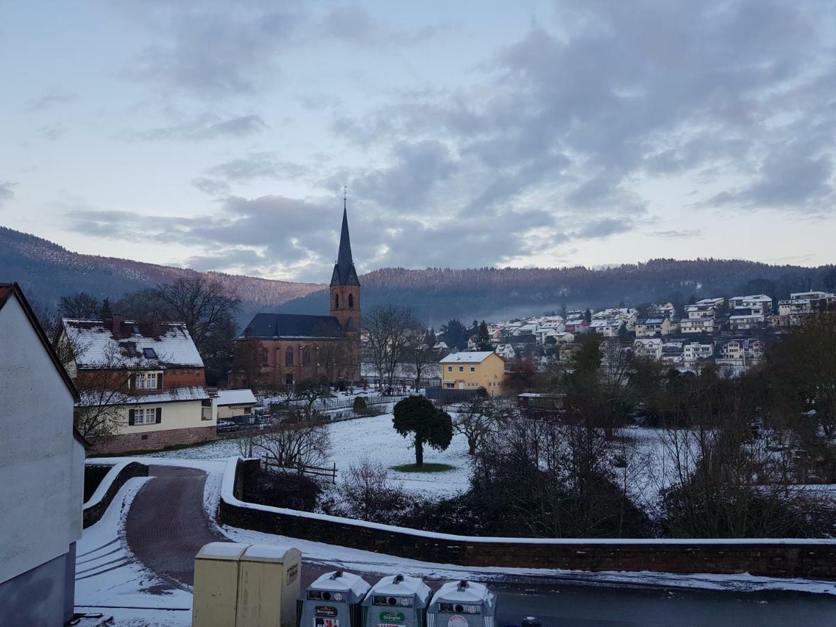 Zauberhafte Wohnung In Der Naehe Von Heidelberg, Top Lage Hirschhorn Εξωτερικό φωτογραφία
