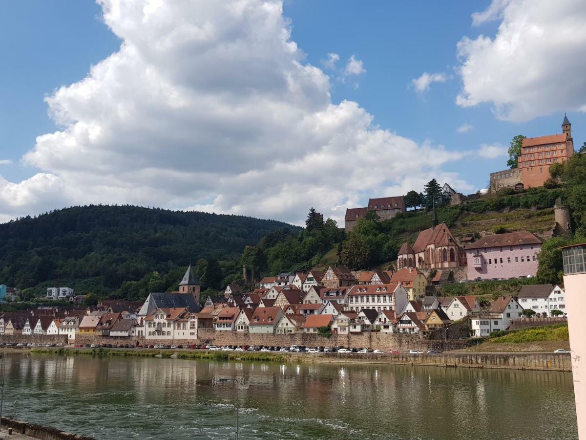 Zauberhafte Wohnung In Der Naehe Von Heidelberg, Top Lage Hirschhorn Εξωτερικό φωτογραφία