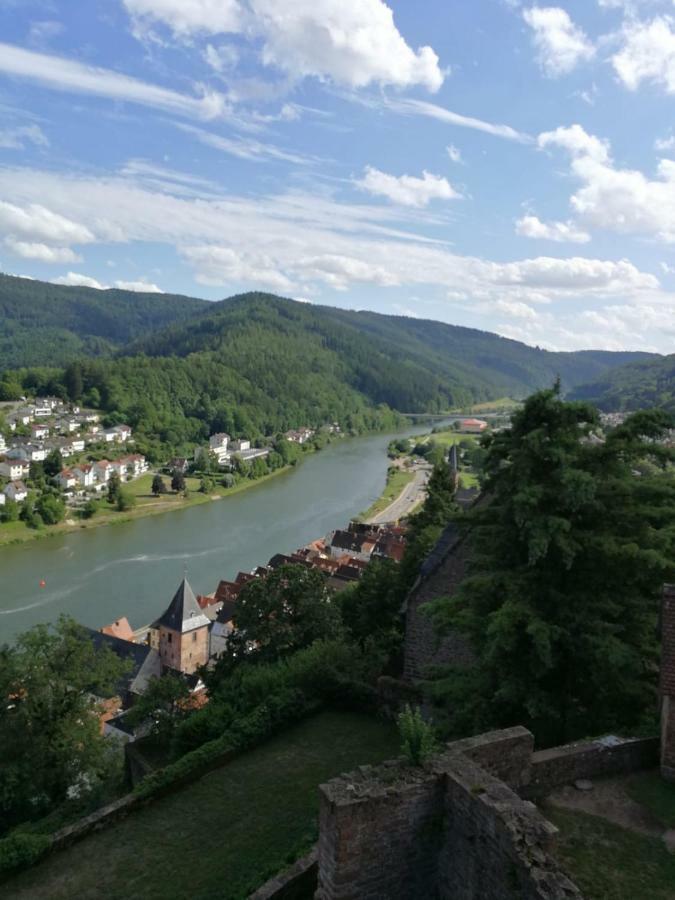 Zauberhafte Wohnung In Der Naehe Von Heidelberg, Top Lage Hirschhorn Εξωτερικό φωτογραφία