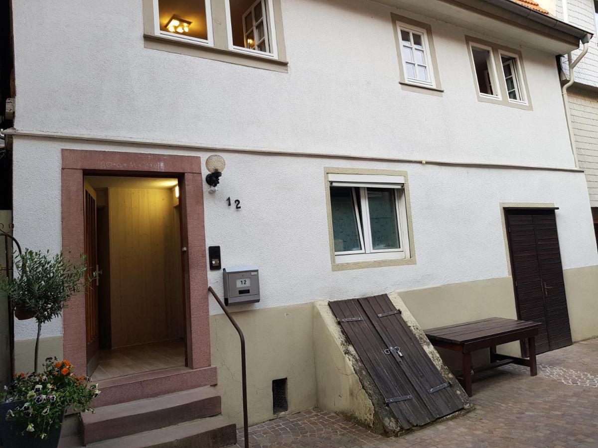Zauberhafte Wohnung In Der Naehe Von Heidelberg, Top Lage Hirschhorn Εξωτερικό φωτογραφία