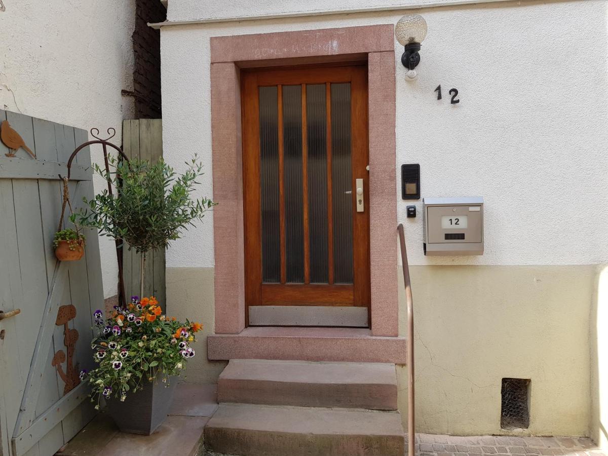 Zauberhafte Wohnung In Der Naehe Von Heidelberg, Top Lage Hirschhorn Εξωτερικό φωτογραφία