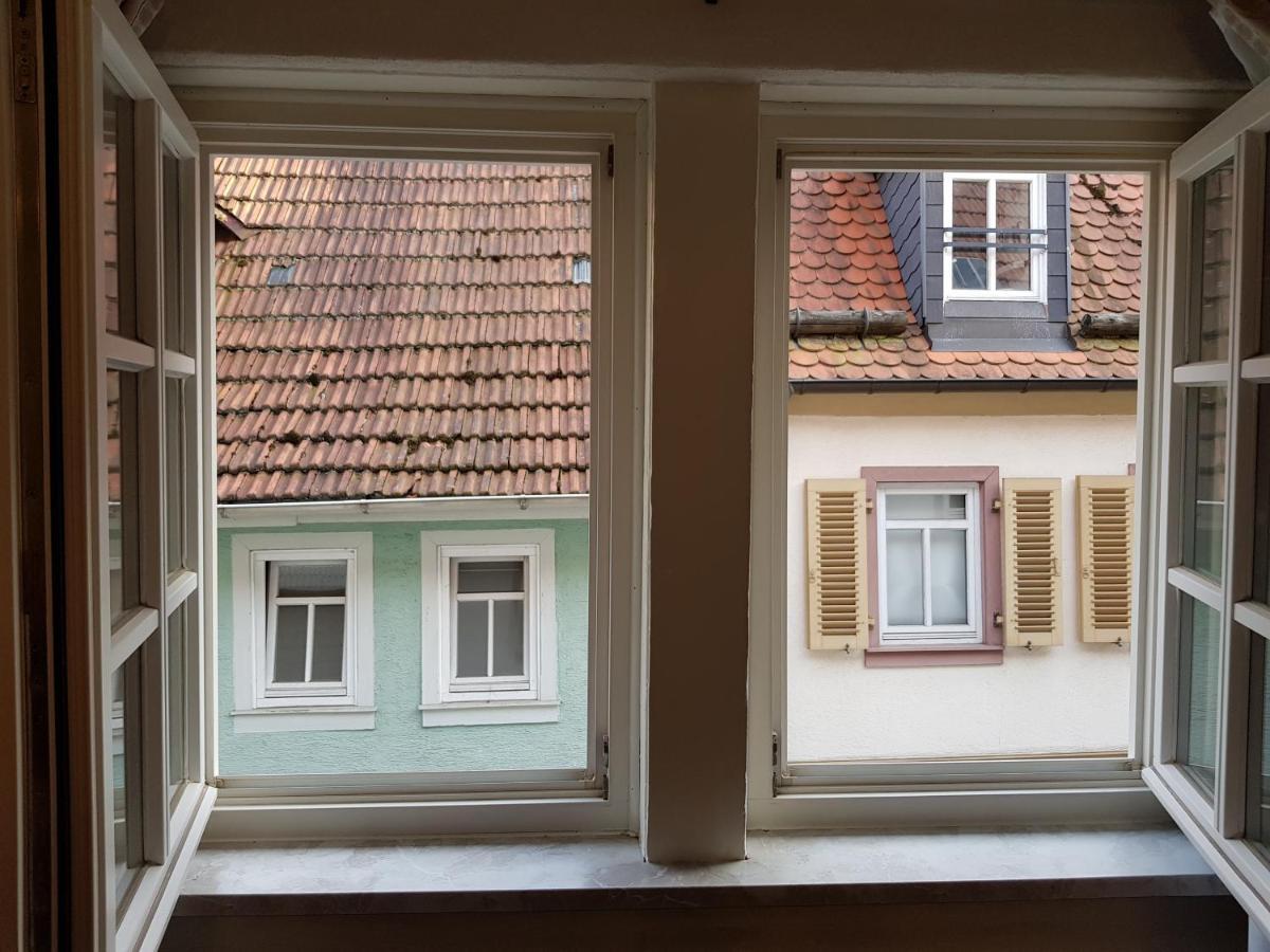 Zauberhafte Wohnung In Der Naehe Von Heidelberg, Top Lage Hirschhorn Εξωτερικό φωτογραφία
